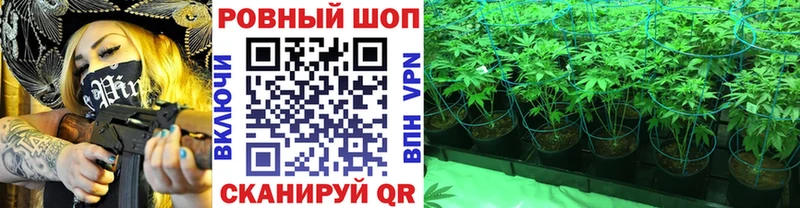 Купить закладку Белёв СОЛЬ КОКАИН ГАШИШ Бошки Шишки