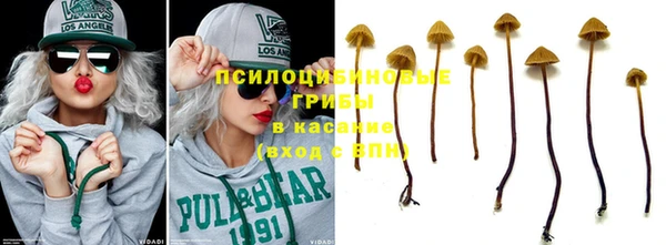 гидра Балабаново