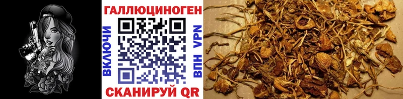 Галлюциногенные грибы мицелий  маркетплейс формула  Белёв 